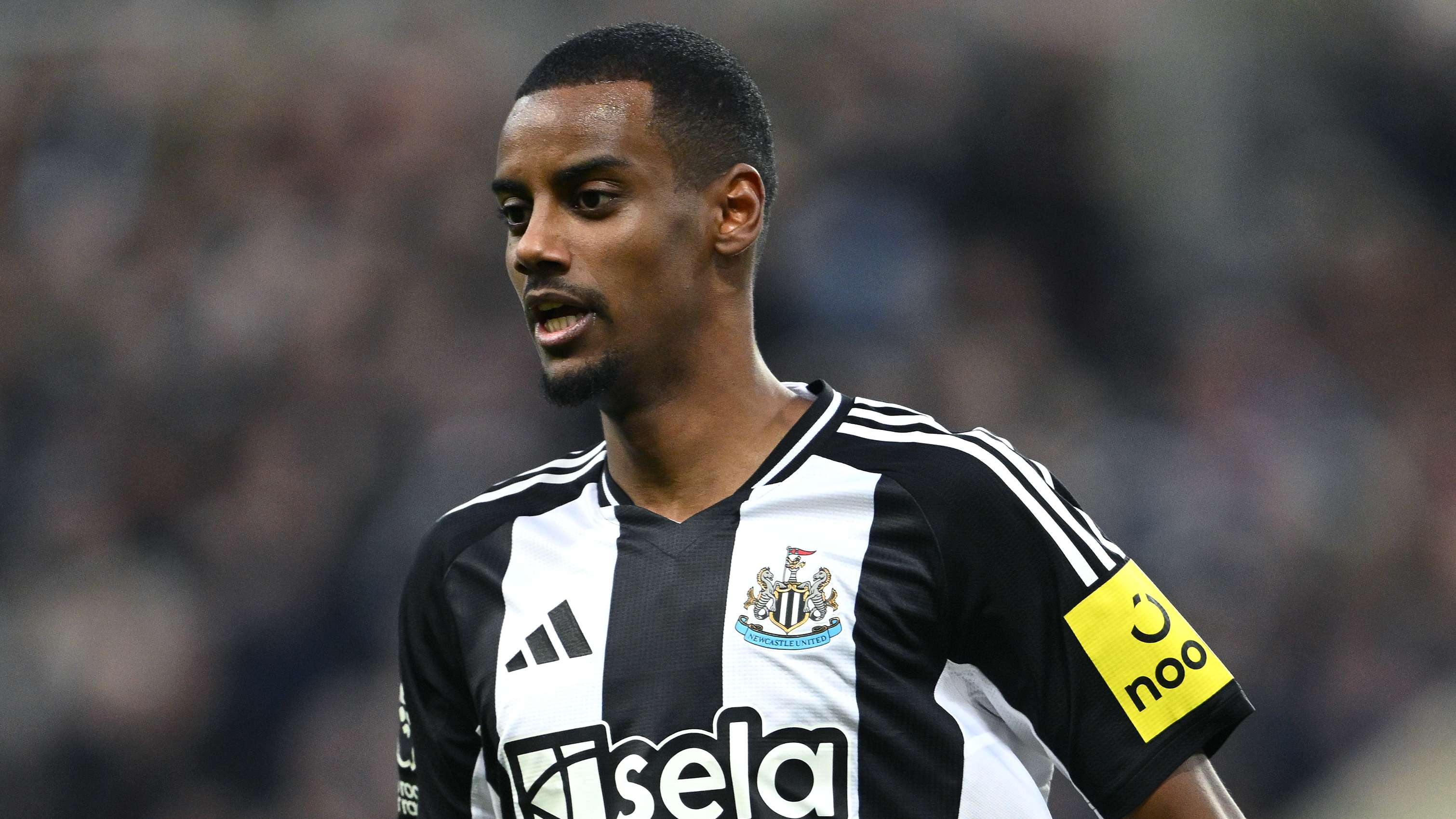 我们不能只 我们不能只